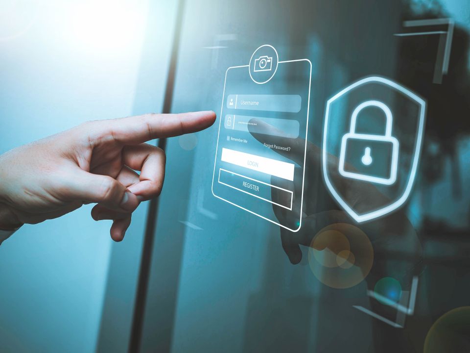 Domain Transfer Authorization and Security Process domain authorization, transfer security, EPP codes, domain verification, security protocols