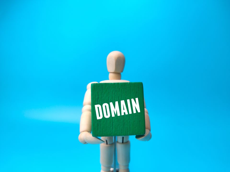 domain research, availability checking, professional tools, domain analysis, strategic research